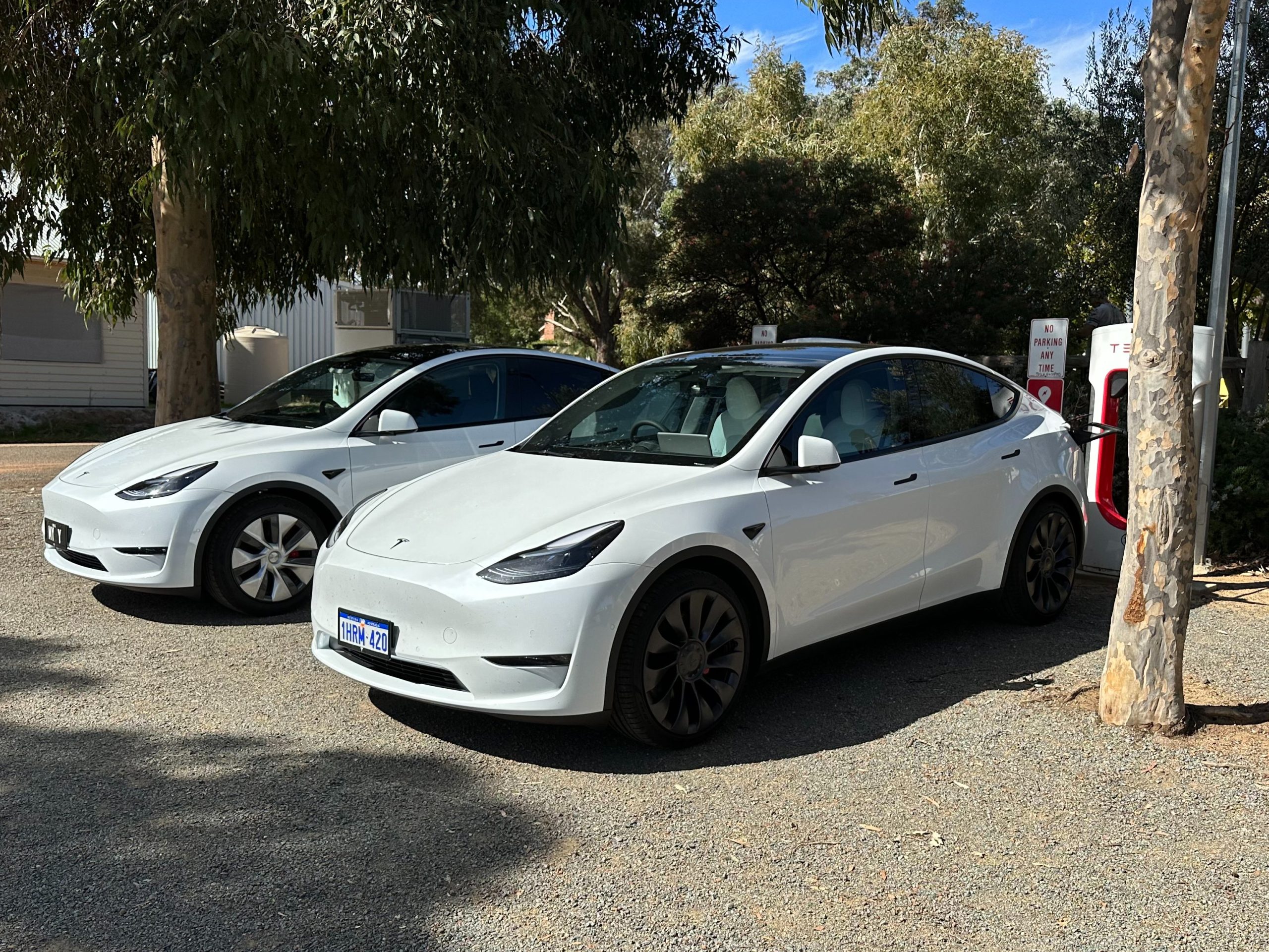 Model y deals 19 wheels